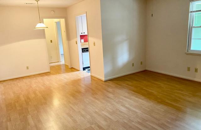 Broad River Area Gallery 4