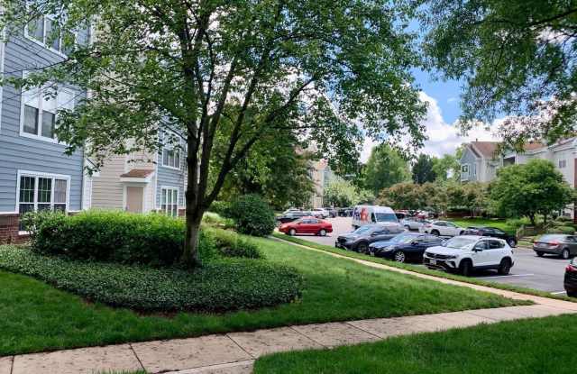 21033 TIMBER RIDGE TER #304 Gallery 3