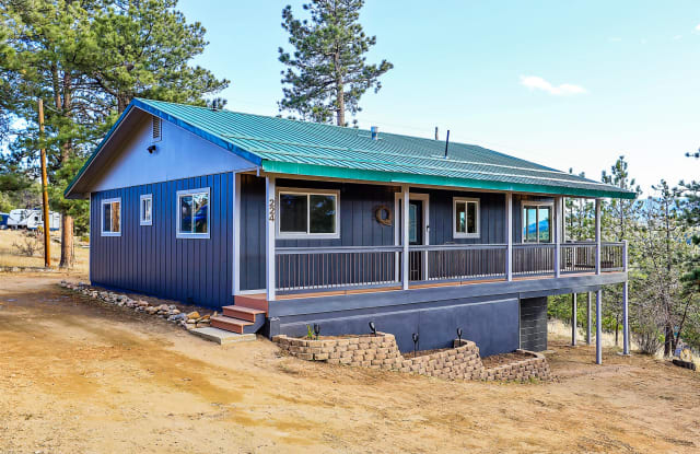 224 Overlook Drive - 224 Overlook Drive, Park County, CO 80421