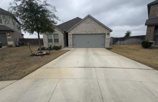 1559 Arcadian Lily photos photos