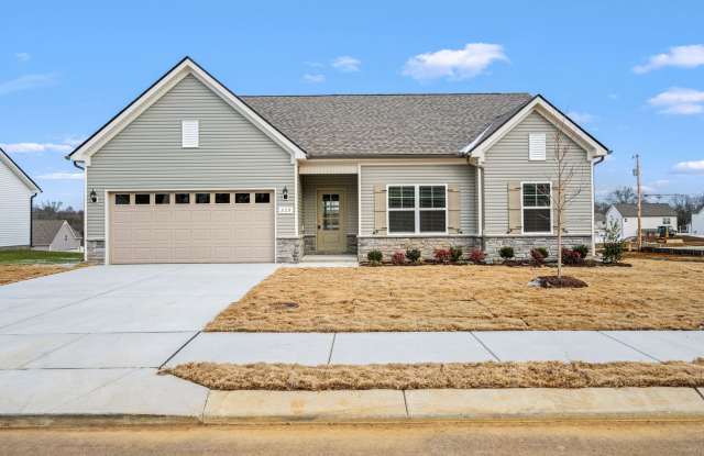 Republic St 229 - 229 Republic Street, Bedford County, TN 37160