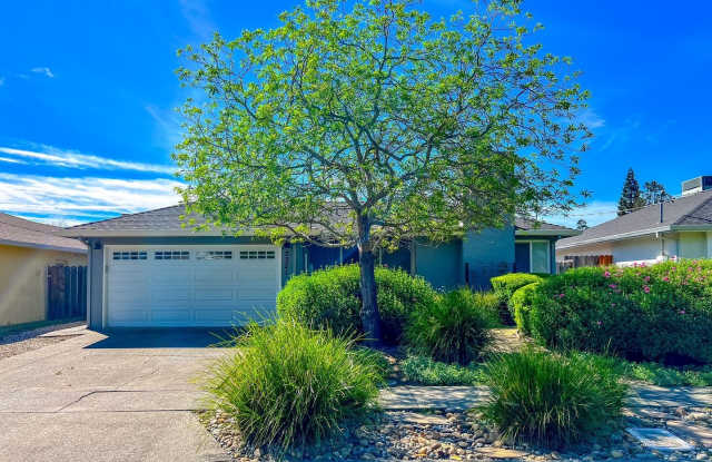 Beautiful Three Bedroom North Napa Home photos photos