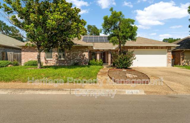 16418 Fancy Saddle photos photos