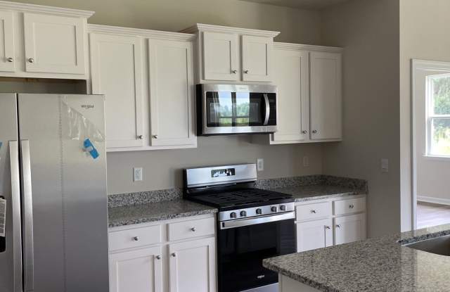 Reduced! New build 3 bedroom/2 bath home in the Parks photos photos