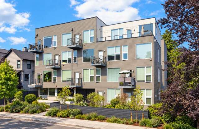 Canopy Apartments Gallery 4