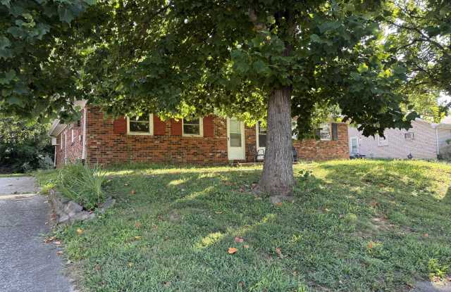 315 Rebel Road Road photos photos