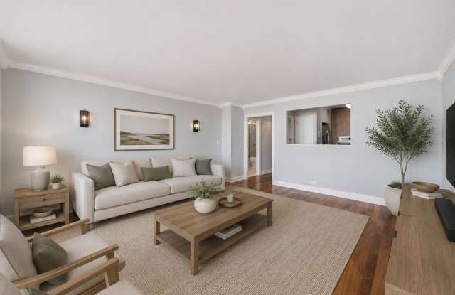 1550 N Lake Shore Drive Gallery 3