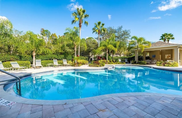 11085 Windsor Place Circle - 11085 Windsor Place Circle, Westchase, FL 33626