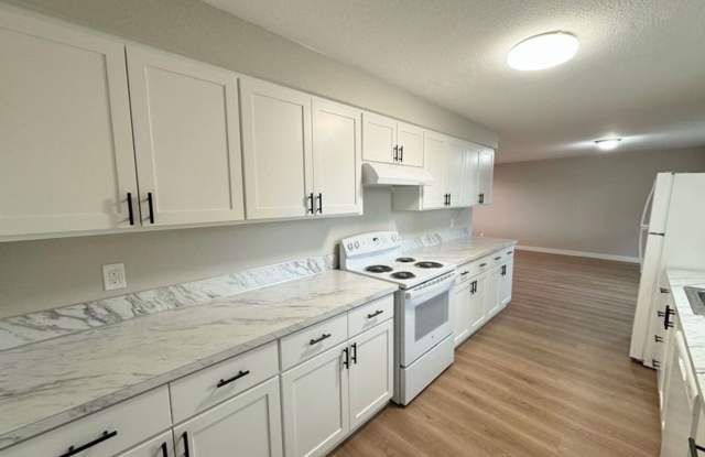 Completely Renovated 2 Bed, 1 Bath Oversized Apartment Gallery 2