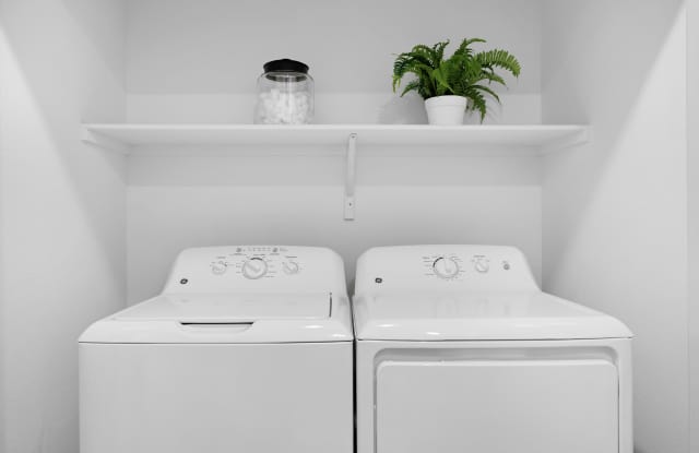 Pine and Parker photos photos