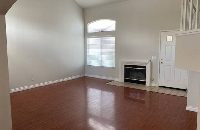 South Corona Beauty! Gallery 3