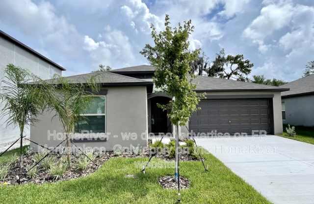10318 Scarlett Skimmer Dr Gallery 1
