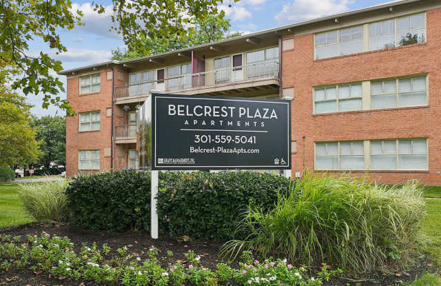 Belcrest Plaza Gallery 1