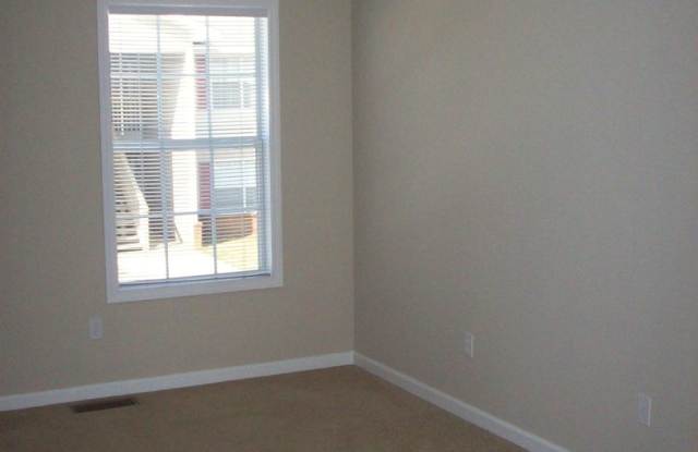 223 Wakefield- Available NOW Gallery 4