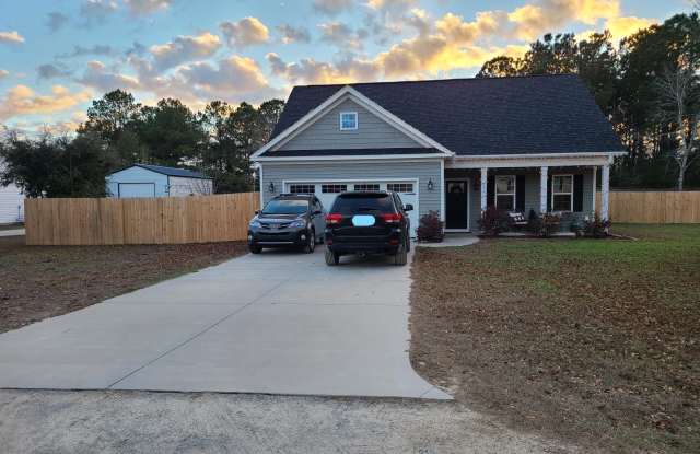 356 Zonnie Lane - 356 Zonnie Lane, Pender County, NC 28443