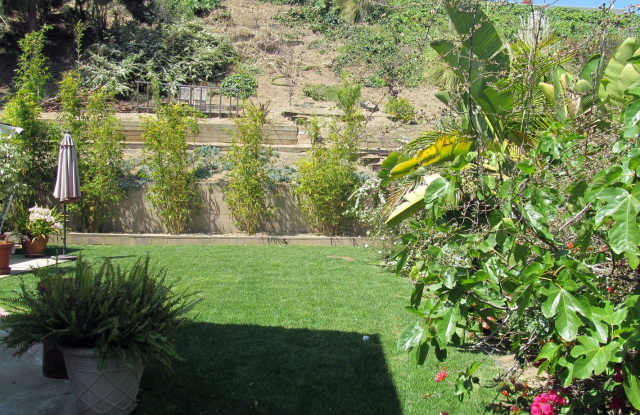 4151 Terraza Drive Gallery 2