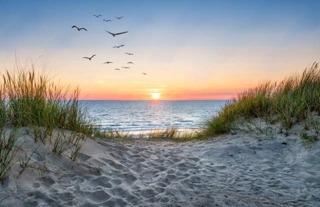 100 Salt Marsh Way photos photos