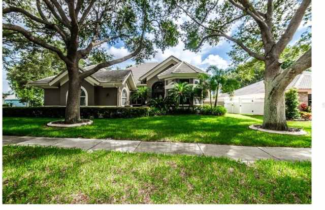 1749 PAINTED BUNTING CIRCLE - 1749 Painted Bunting Circle, Palm Harbor, FL 34683