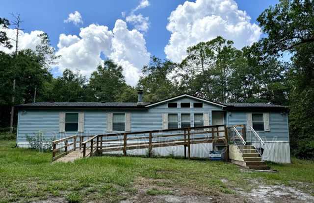 149 Aster Avenue - 149 Aster Avenue, Middleburg, FL 32068