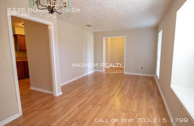 7335 Blanco Pines Dr Gallery 4