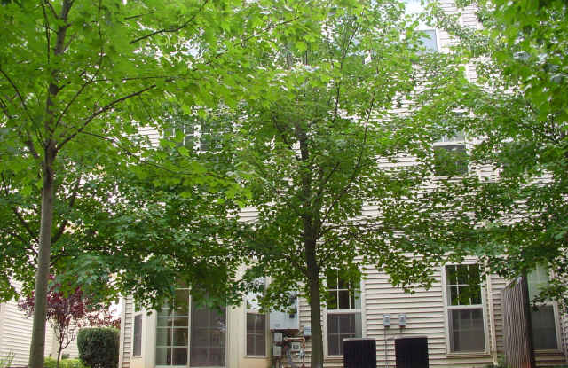 21170 Domain Terrace Gallery 2