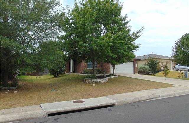 273 Lake Washington DR - 273 Lake Washington Drive, Kyle, TX 78640