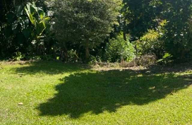 27-1724 Old Mamalahoa Hwy. Honomu, HI 96728 Gallery 4