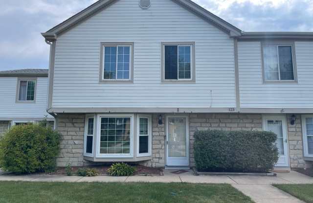 123 S Hale Avenue - 123 South Hale Avenue, Bartlett, IL 60103