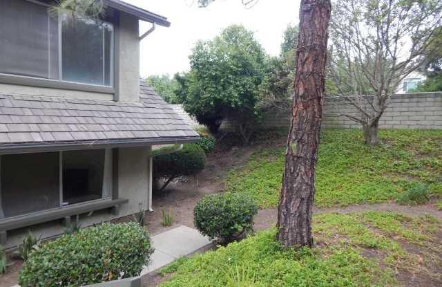 469 Serento Circle Gallery 4