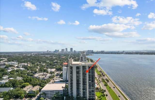 2413 BAYSHORE BOULEVARD photos photos