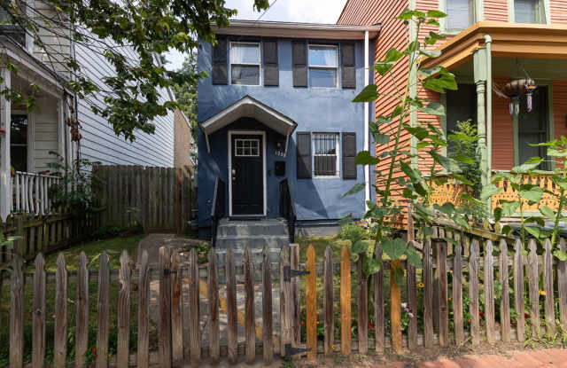 2BR/1B in historic Anacostia. HUGE back yard photos photos