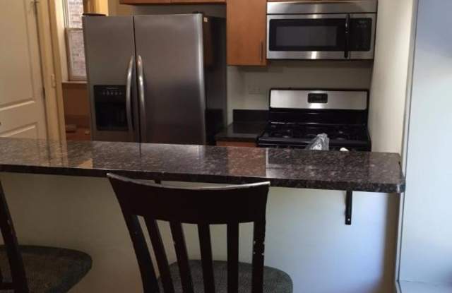 1335 W Wellington Ave 1 - 1335 West Wellington Avenue, Chicago, IL 60657