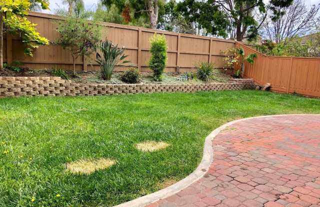 372 Spring Canyon Way Gallery 3