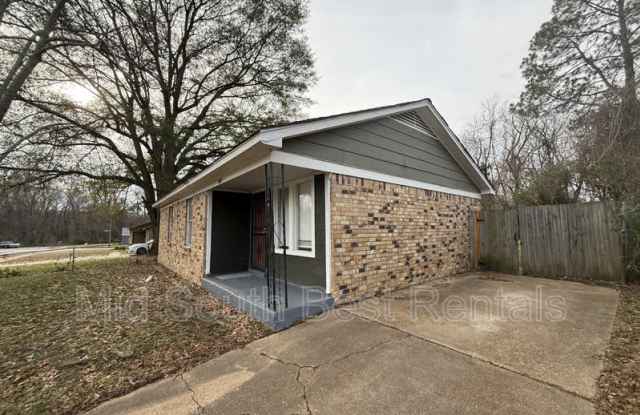 3723 Parakeet photos photos