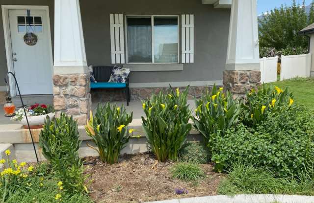 5 Bedroom Home with Fully Fenced back yard photos photos