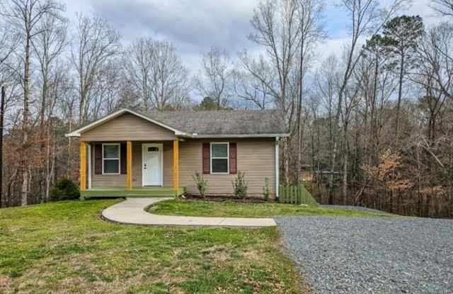 173 Warlick Drive - 173 Warlick Drive, Gilmer County, GA 30540