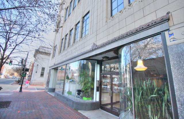 Gorgeous Studio Condo On The 4th Floor Of The Kress Building In Downtown Durham! photos photos Gorgeous Studio Condo On The 4th Floor Of The Kress Building In Downtown Durham! photos photos