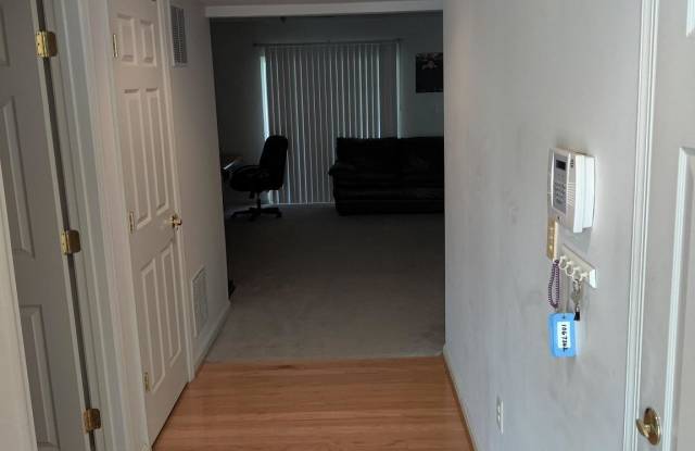20768 BRIDALVEIL FALLS TERRACE Gallery 4