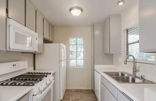 10305 Azuaga St photos photos