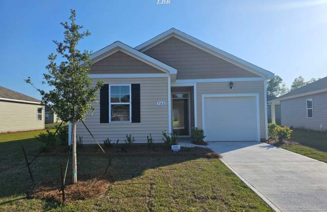 New Construction Home- Pet Friendly - 166 Honey Jar Way, Horry County, SC 29569