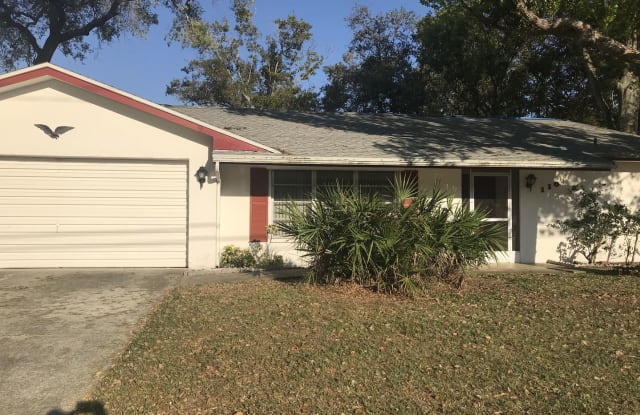 110 19th Street - 110 19th Street, Palm Harbor, FL 34683