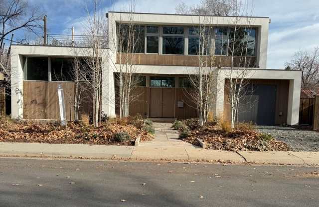 Silver Maple Stunning photos photos