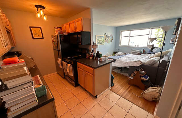 Great condo steps from the Wedge. Rent includes parking, internet, ALL Utilities except electric. - 2112 Garfield Avenue, Minneapolis, MN 55405