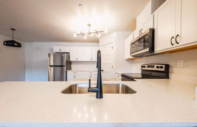 Jumbo 1 bed 1 bath  Modern Apartment - 1017 sqft Gallery 2