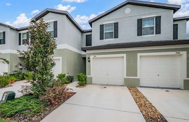2166 GREAT SAPPHIRE Lane Gallery 2