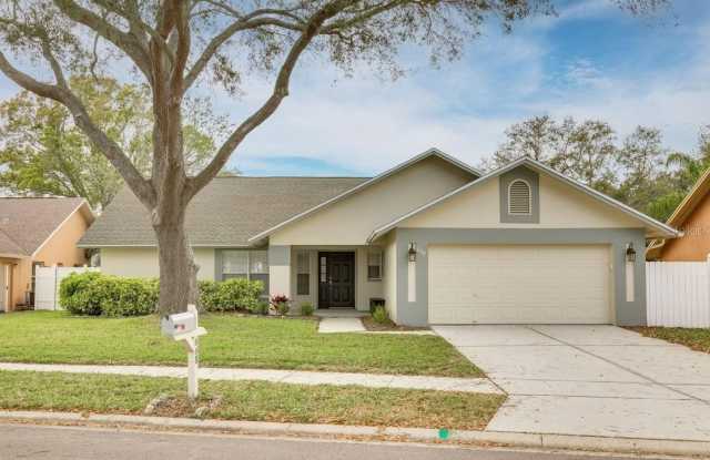 668 GLENGARY LANE - 668 Glengary Lane, Palm Harbor, FL 34683