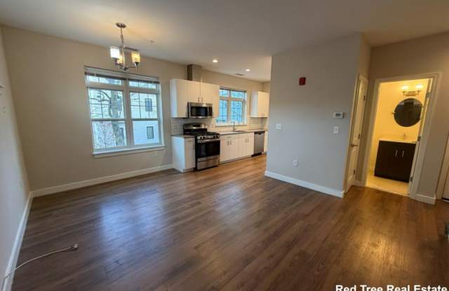 11 Alder photos photos