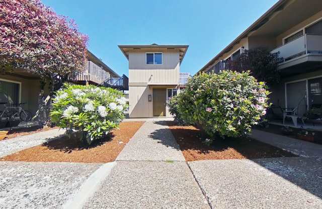 2 Bedroom Apartment ~ Close to Campus ~ Cat Friendly photos photos