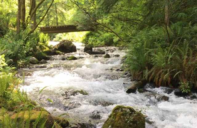 Creekside photos photos