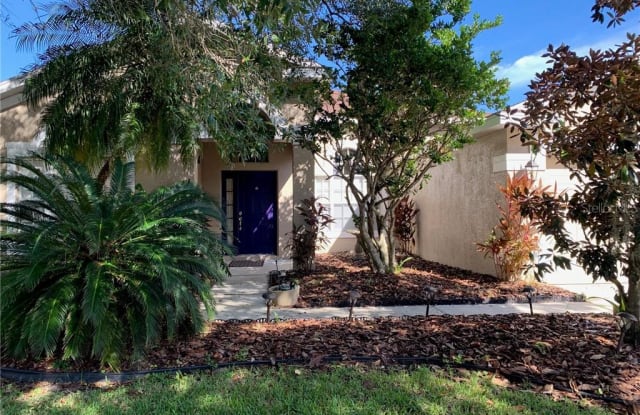 19164 DOVE CREEK - 19164 Dove Creek Drive, Tampa, FL 33647